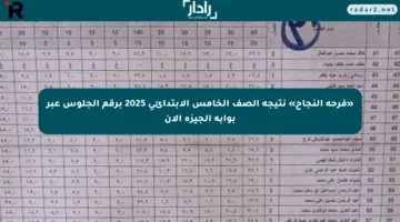 «فرحة النجاح» نتيجة الصف الخامس الابتدائي 2025 برقم الجلوس عبر بوابة الجيزة الآن